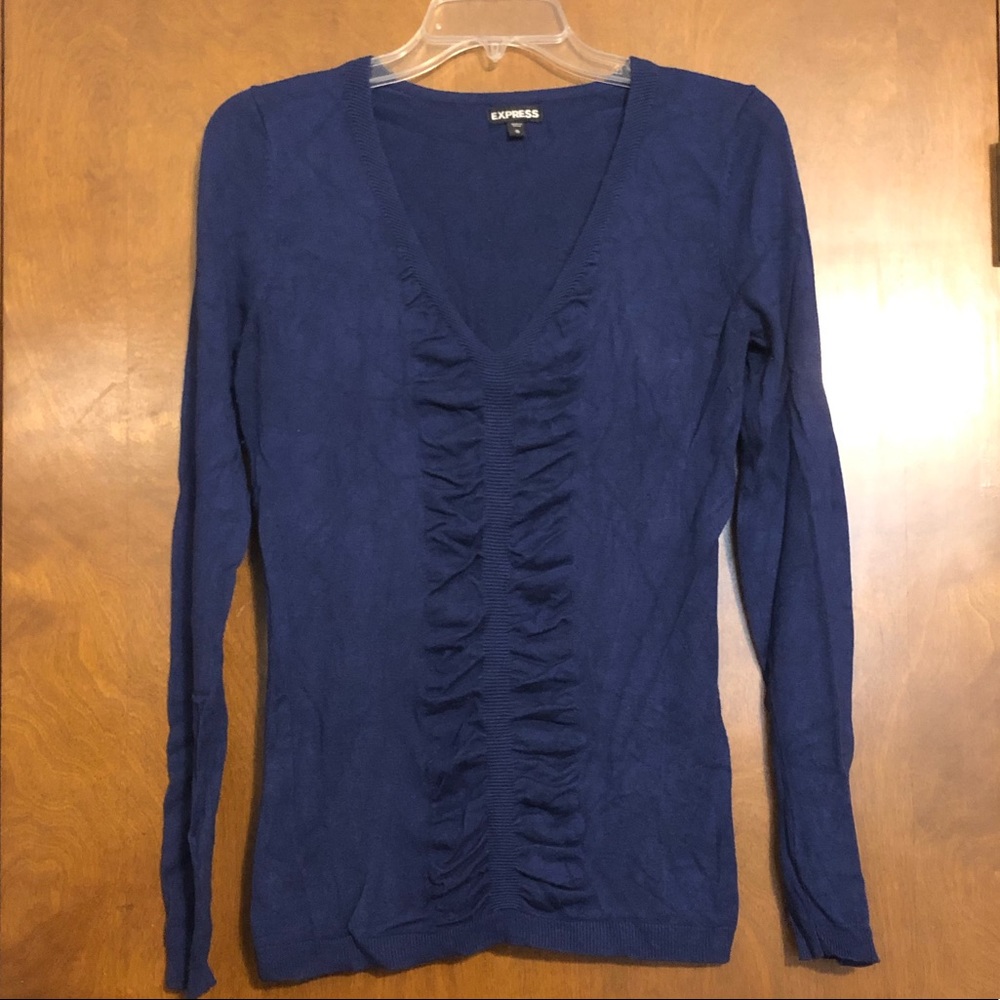 Express Blue Sweater